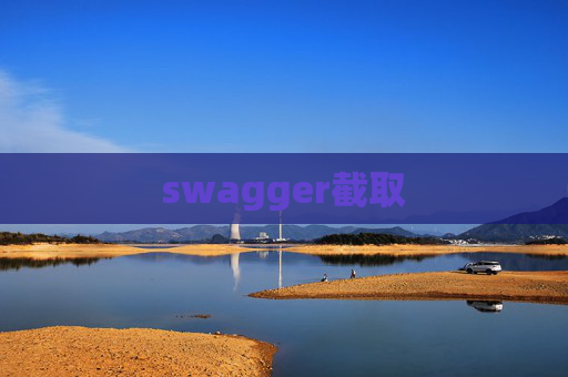 swagger截取